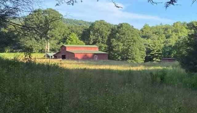 Cozy little bunk house on an 98 acre farm located in mountain city Tennessee