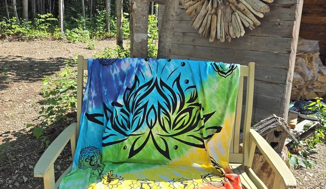 Cozy little cabin in the woods.