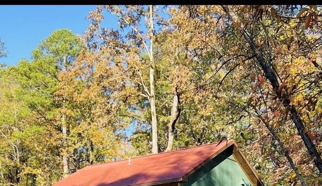 Cozy little Cabin in Little Rock
