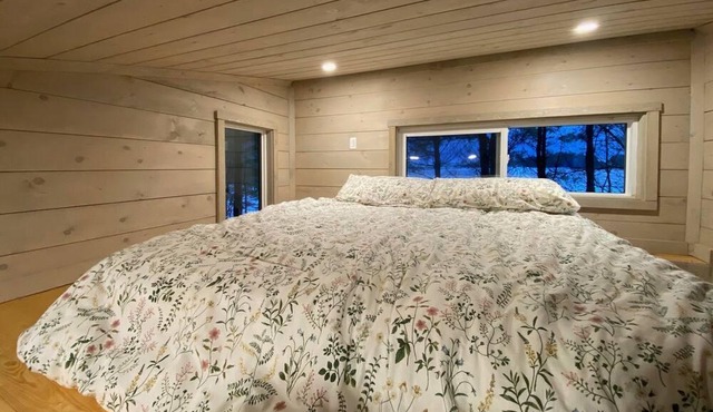 Cozy Little Cabin in the Pines