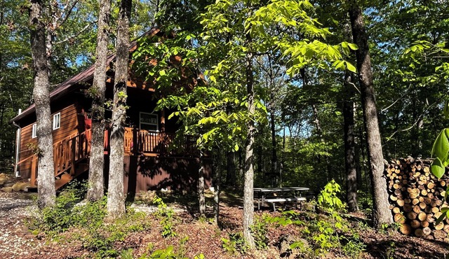 Cozy little cabin in our little woodland village - access to the pond & meadow