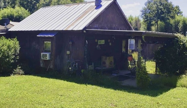 Cozy Little Cabin