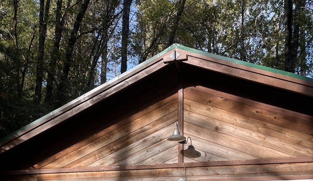 Cozy little cottage in the woods, rustic and remote, pet friendly.