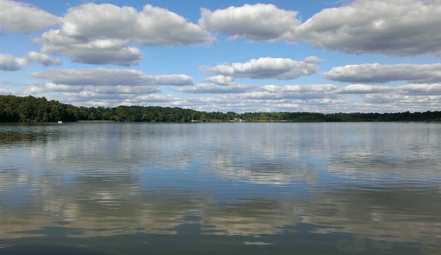 Cozy Little Cottage On The Lake