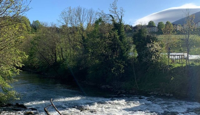 Cozy Little Dream by Interhome