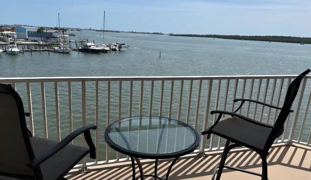 Cozy little piece of paradise! St. Petersburg Pool and Hot Tub