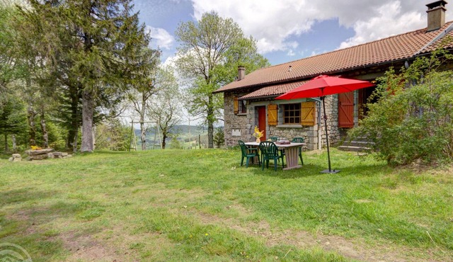 Cozy lodging for 6 near slopes, pets allowed