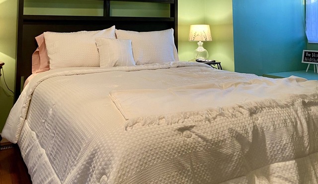 Cozy loft in a small town; walking distance to the popular restaurant BG’s!