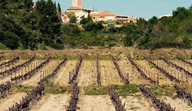 Cozy loft nestled in the heart of the village