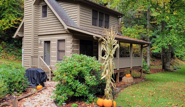 Cozy Log Cabin Getaway Waynesville, Smokey Mountains, Blue ridge Parkway