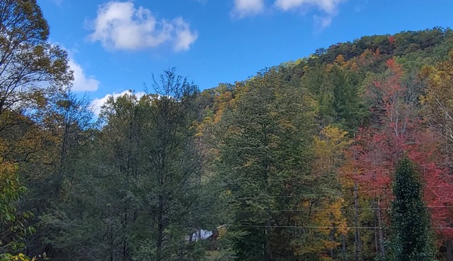 Cozy Log Cabin Getaway Waynesville, Smokey Mountains, Blue ridge Parkway