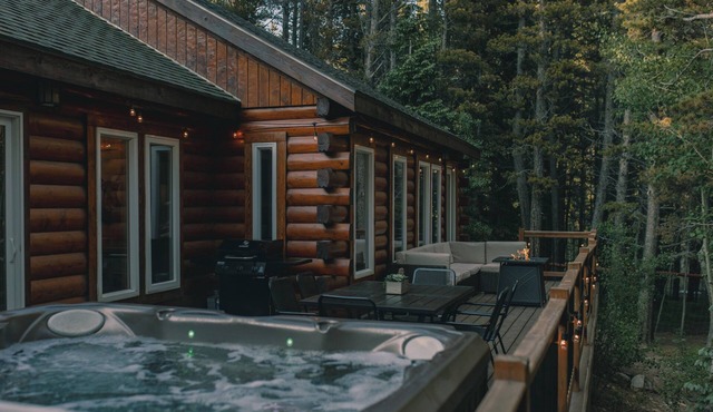 Cozy Log Cabin: hot tub under the stars, private deck, king bed, dog friendly!