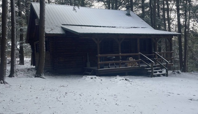 Cozy Log Cabin in Cook Forest ~ Dog Friendly