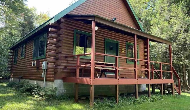 Cozy LOG CABIN in the woods