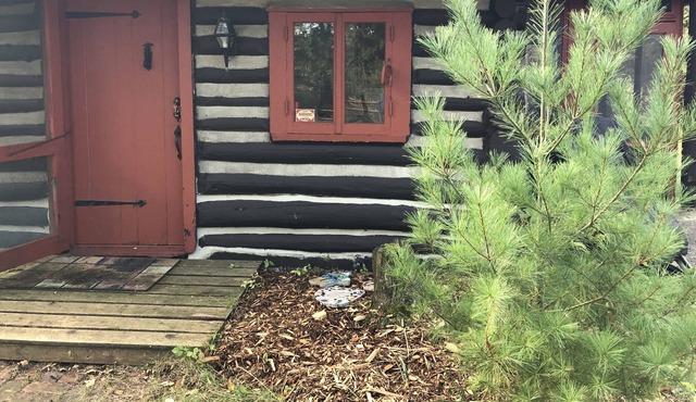 Cozy log cabin on the banks of the Little South Branch, Pere Marquette River