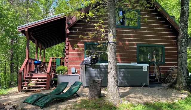 Cozy Log cabin tucked away in the Smokey Mountain, Pet friendly, Sauna, Hot Tub