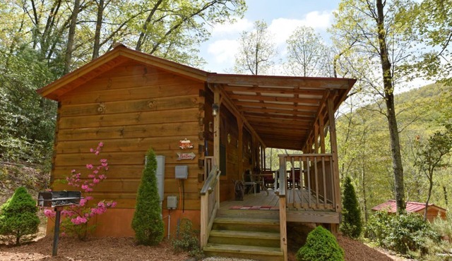 Cozy Log Cabin w/Fire Pit, Mountain Views & Biltmore Pass — 20 Min to Asheville