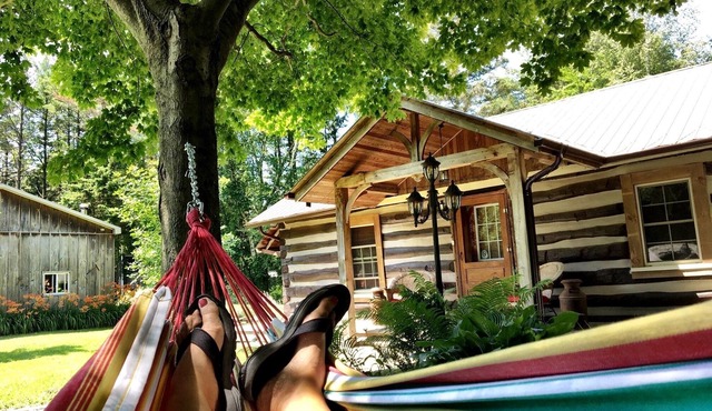 Cozy Log Cabin - Walk to Lake Huron!