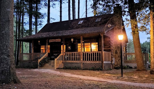 Cozy log cabin with modern amenities and a park view!