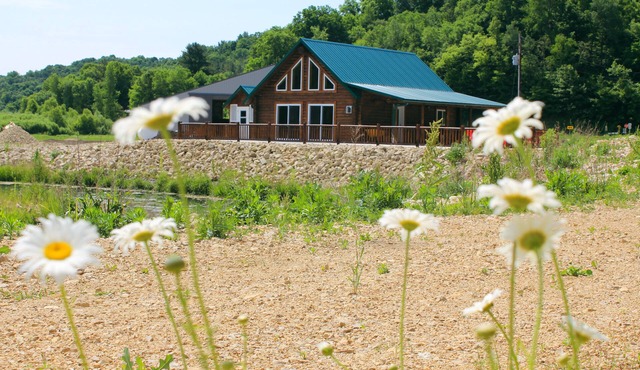 Cozy log cabin with sauna, the perfect year round relaxing getaway! Built 2022