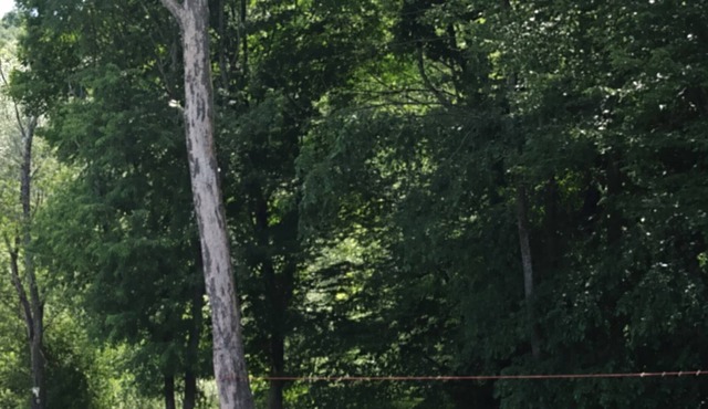 Cozy log home on Amish Trail in Cattaraugus County