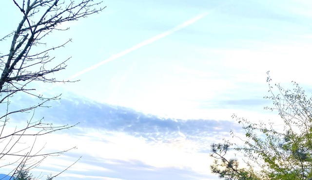 Cozy Log Home with a View - Outdoor Adventures Abound!