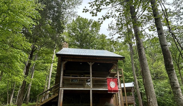 Cozy Love Shack: Rustic Log Cabin, Outdoor Living Room/Treehouse, & Fireplaces