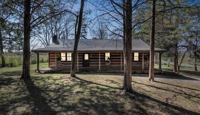 Cozy Lux Cabin With Game Room
