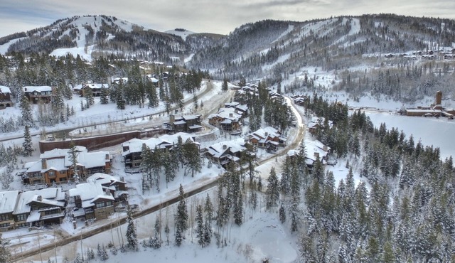 Cozy Luxury Studio with Fireplace, Prime Location & Winter Adventure!