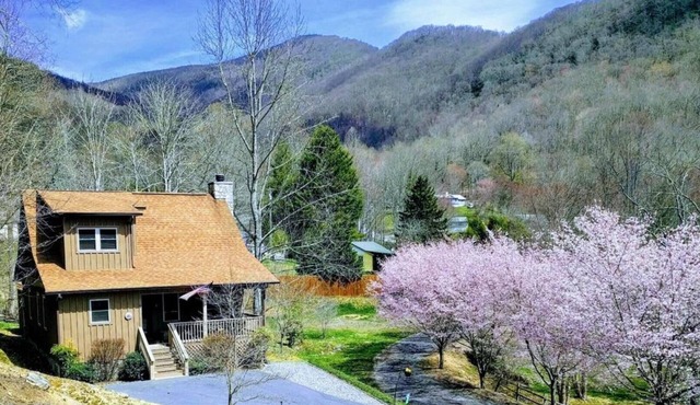 Cozy Maggie Valley Cabin near Cataloochee Ski Area, withnhot tub. Bikers Welcome