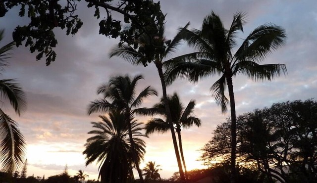 Cozy Maui 'Treehouse' with lovely views and amenities