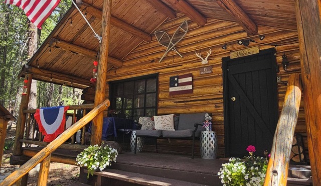 Cozy Mazama cabin nestled in the woods in the North Cascade Pet Friendly!