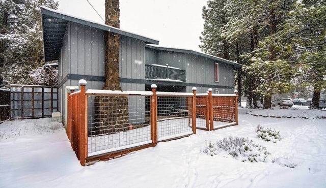 Cozy mid-century getaway near Downtown