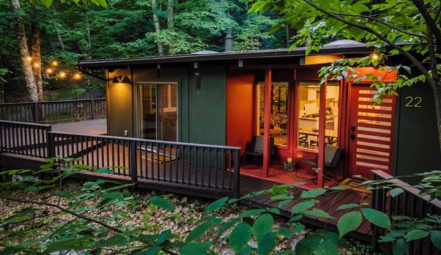 Cozy Mid-Century Retreat with Spa Hot Tub