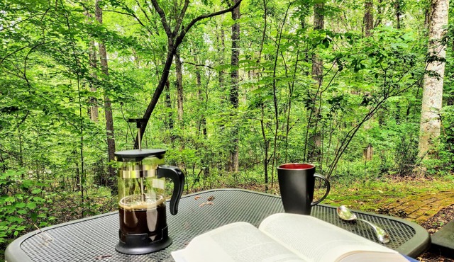 Cozy Milton Guest Suite with Private, Wooded Patio & Kitchenette