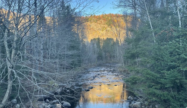 Cozy mini ski retreat or hiking paradise for nature lovers. Pet friendly.n