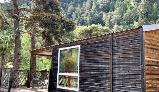 Cozy mobile home, pets allowed - 4 guests