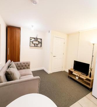 Cozy modern 2 bedroom apartment with comfortable lounge