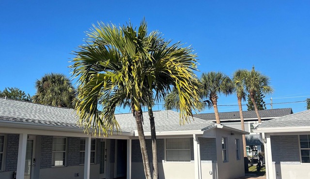 Cozy Modern Beachside Condo Sleeps 4 in Madeira Beach- Steps away from the sand.