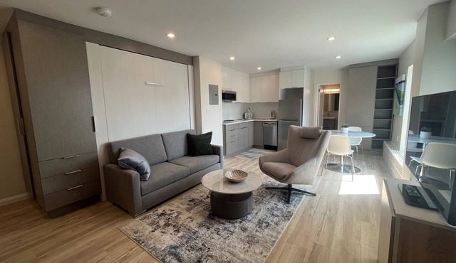 Cozy Modern Centretown Ottawa Studio Near U of O, Restaurants, and Amenities