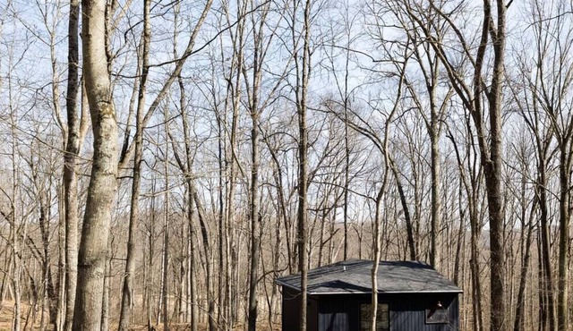 Cozy Modern Cottage in the Trees - Hocking Hills