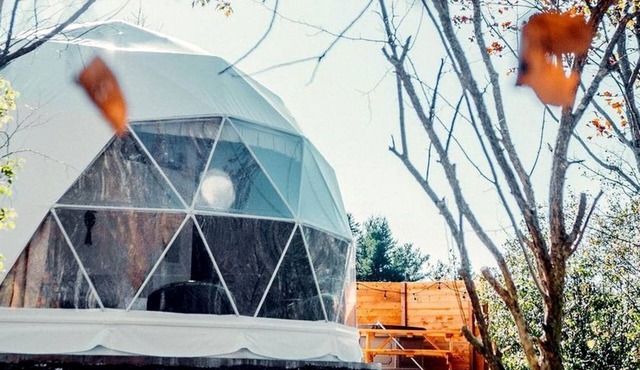 Cozy Modern Dome Nestled in the Trees in Maynooth, Ontario