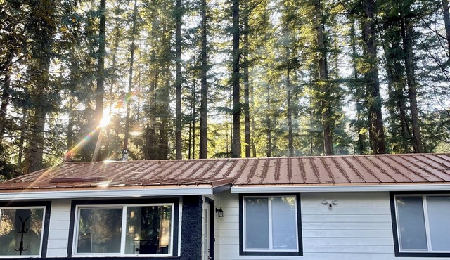 Cozy modern home near Mt. Baker