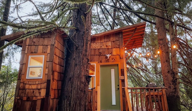 Cozy, modern treehouse w/WiFi & Smart Projector, outdoor shower & soak tub