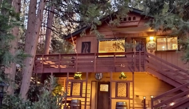 Cozy modern rustic 1-bedroom studio in Idyllwild. Perfect hideout close to town