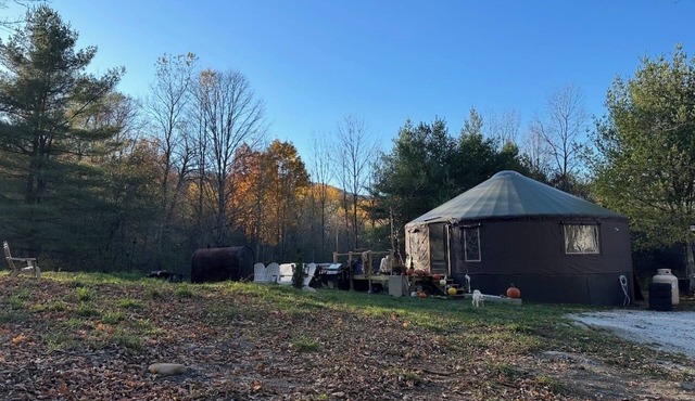 Cozy Moonship Yurt in the woods