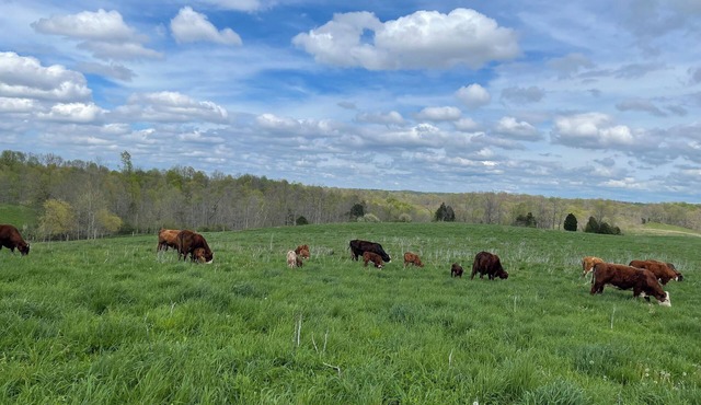 Cozy motor home in Adorable English with all amenities inside and out!