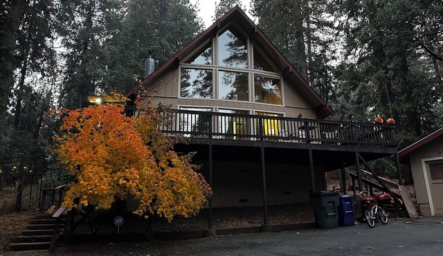 Cozy Mountain A-Frame with Large Windows & Forest Views