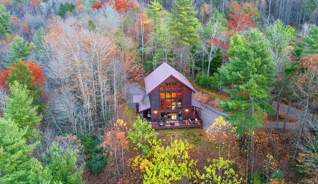 Cozy mountain adventure for all-family, friends and furry pups!