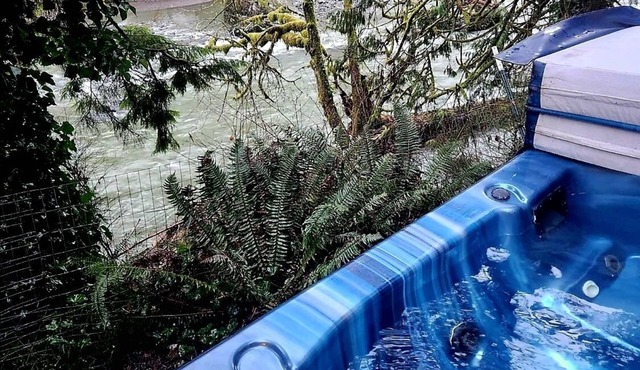 Cozy Mountain Cabin on the River